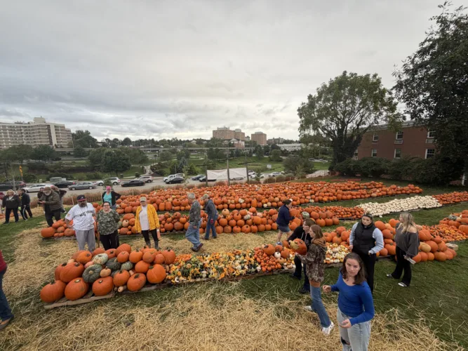 Fall Fest '26 set for Saturday